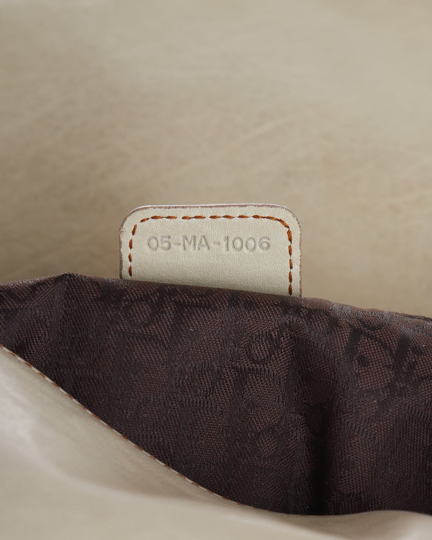 Dior Saddle Gaucho Bag
