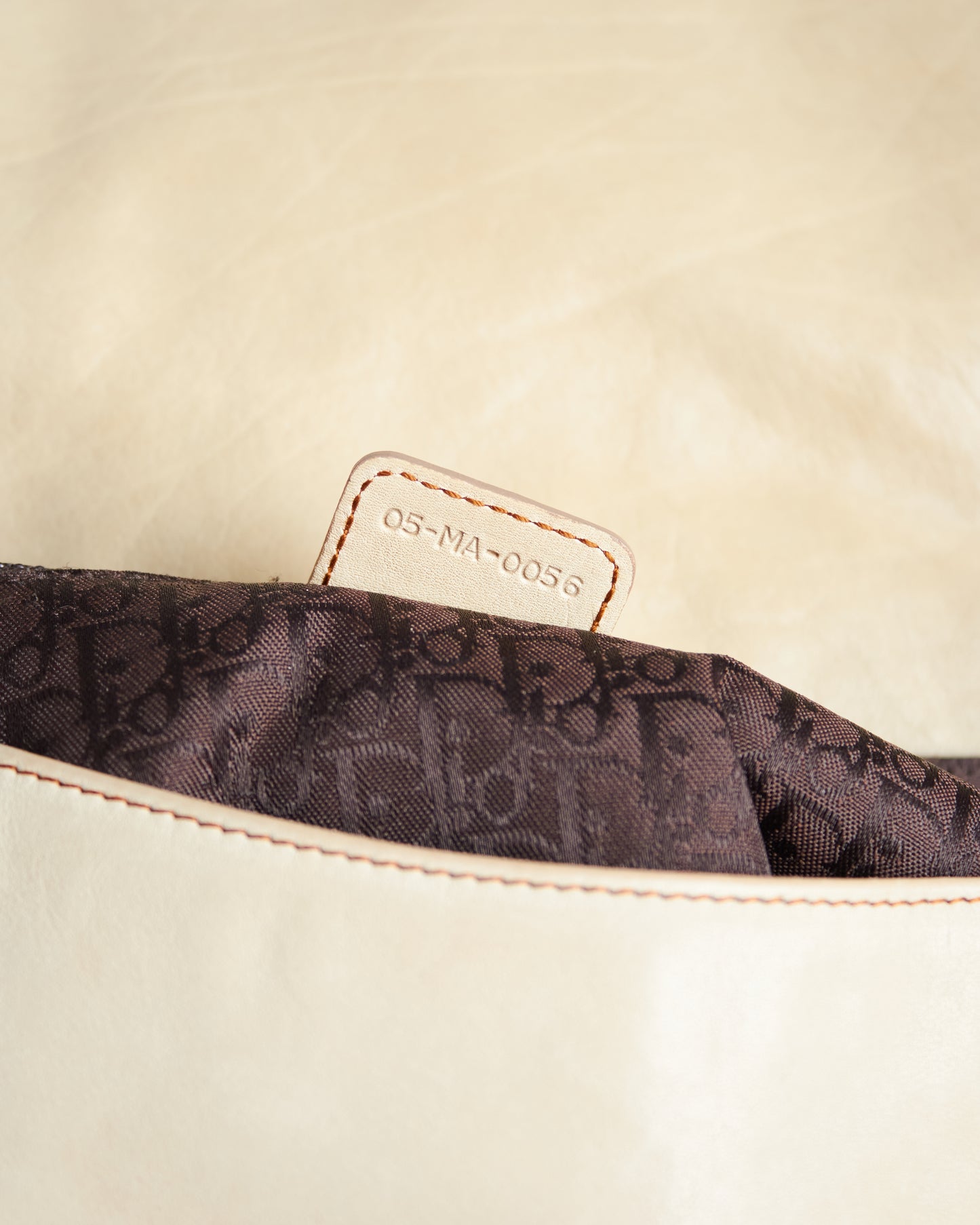 Dior Saddle Gaucho Bag