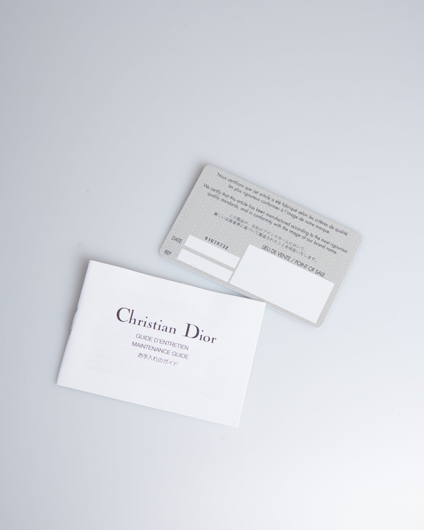 Dior Gaucho Mini